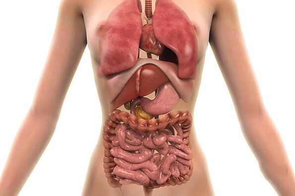 паразиты в организме человека